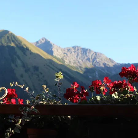 Pensión Berghof 3*