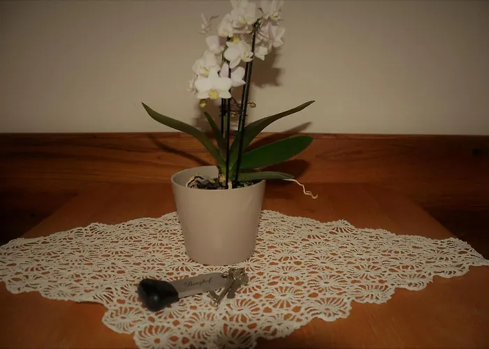 Berghof Guest house Berwang