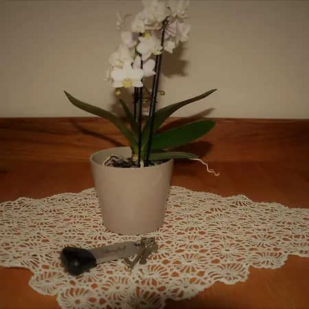 Berghof Pensjonat Berwang